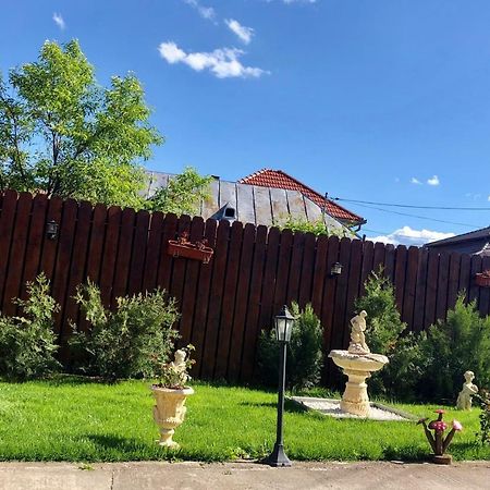 Casa Alexia Hotel Hateg Bagian luar foto