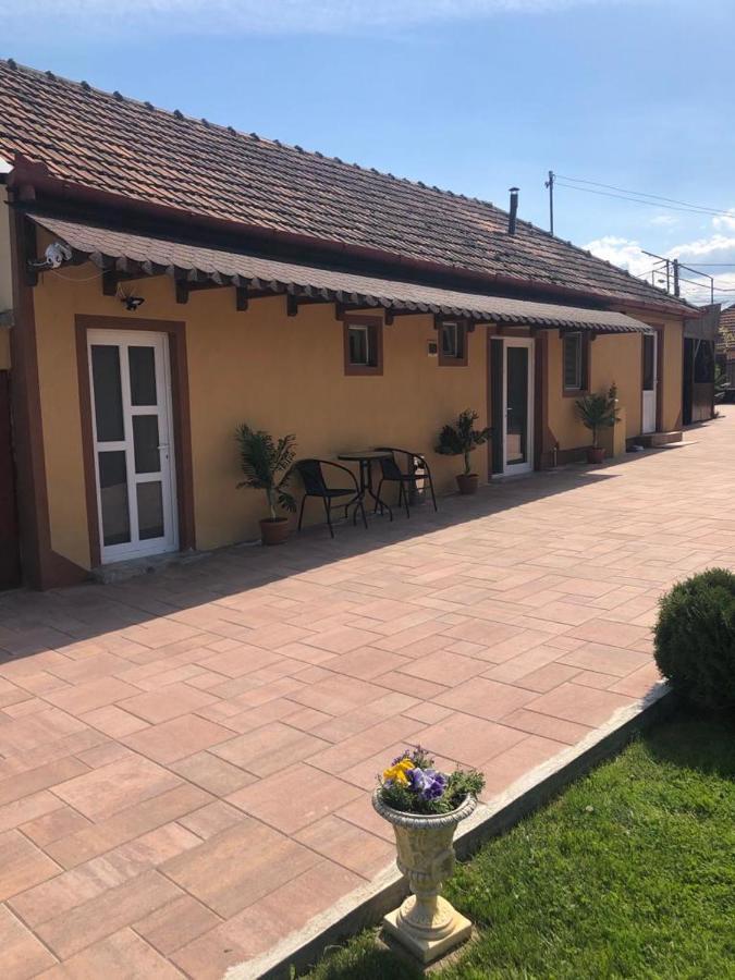 Casa Alexia Hotel Hateg Bagian luar foto