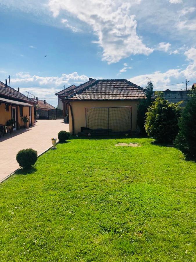 Casa Alexia Hotel Hateg Bagian luar foto