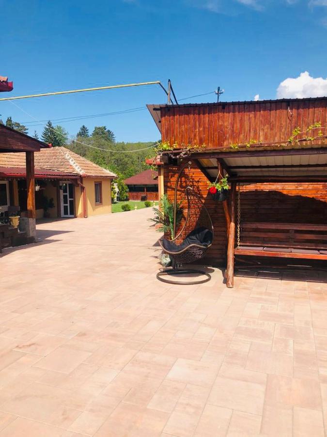 Casa Alexia Hotel Hateg Bagian luar foto