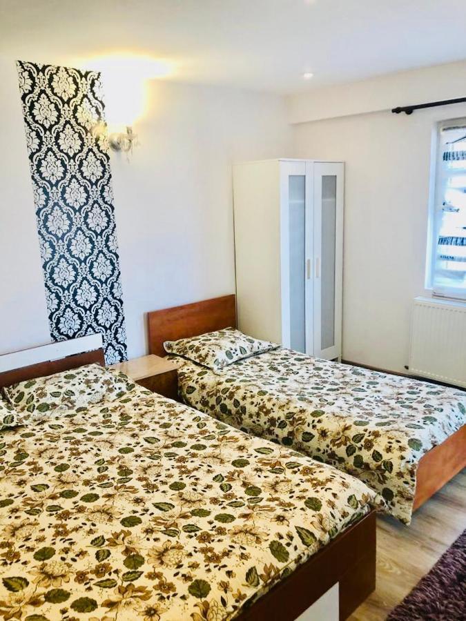 Casa Alexia Hotel Hateg Bagian luar foto