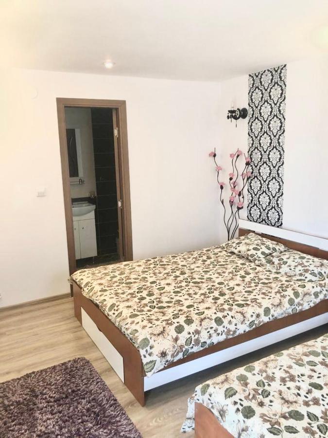Casa Alexia Hotel Hateg Bagian luar foto