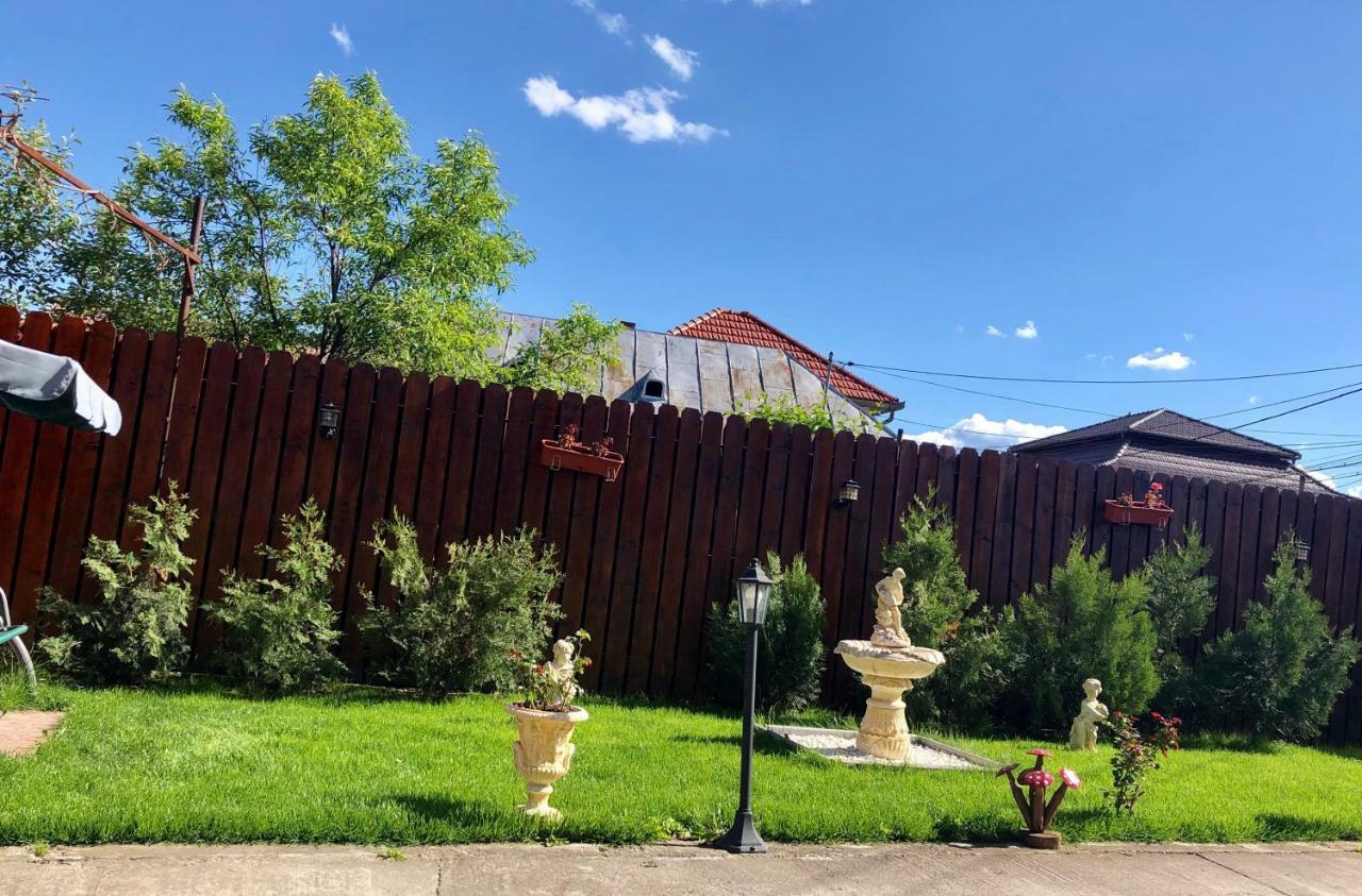 Casa Alexia Hotel Hateg Bagian luar foto